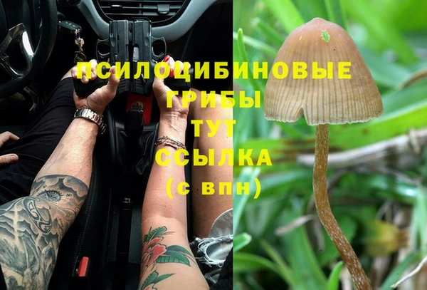 молекула духа Киреевск