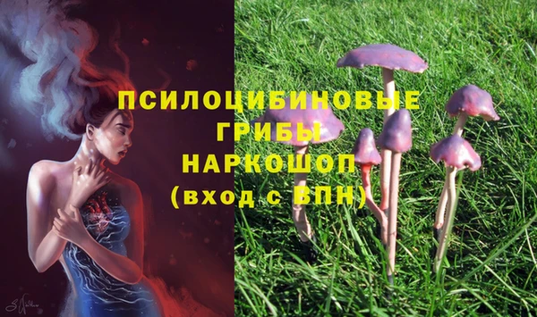 молекула духа Киреевск