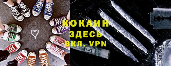 твердый Кинешма