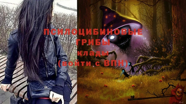 молекула духа Киреевск