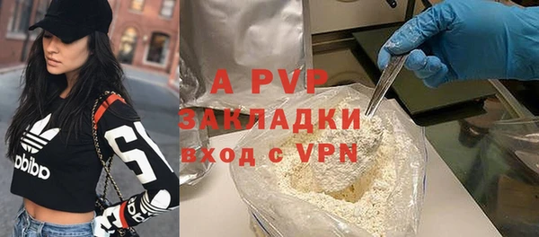 молекула духа Киреевск
