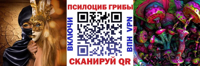 Псилоцибиновые грибы Psilocybe  Ужур 